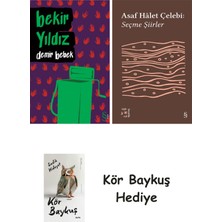 Alfa Yayınları Demir Bebek + Everest Açıkhava 35 - Seçme Şiirler + Kör Baykuş