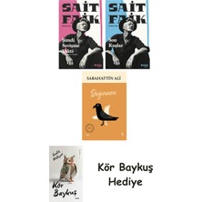 Alfa Yayınları Şimdi Sevişme Vakti + Son Kuşlar + Değirmen + Kör Baykuş