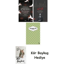 Alfa Yayınları Bir Yüreğin Çöküşü + Nat Tate + Yaslı Mızıka + Kör Baykuş