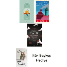 Alfa Yayınları Göl Saatleri + Genç Kız Kalbi + Bir Yüreğin Çöküşü + Kör Baykuş