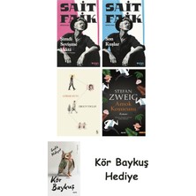 Alfa Yayınları Şimdi Sevişme Vakti + Son Kuşlar + Görme Huyu + Amok Koşucusu + Kör Baykuş