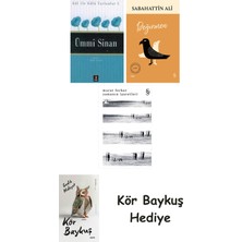 Alfa Yayınları Ümmi Sinan + Değirmen + Zamanın Işaretleri + Kör Baykuş