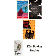 Alfa Yayınları Genç Kız Kalbi + Bir Yüreğin Çöküşü + Alman Ekmeği + Kör Baykuş