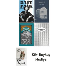 Alfa Yayınları Son Kuşlar + Nişan Evi + Zacharius Usta + Uzakta Beyaz + Kör Baykuş