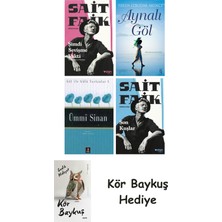 Alfa Yayınları Şimdi Sevişme Vakti + Aynalı Göl + Ümmi Sinan + Son Kuşlar + Kör Baykuş