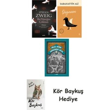 Alfa Yayınları Bir Yüreğin Çöküşü + Değirmen + Zacharius Usta + Kör Baykuş