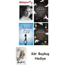 Alfa Yayınları Hikayeci - 5 + Bir Yüreğin Çöküşü + Aynalı Göl + Amok Koşucusu + Kör Baykuş