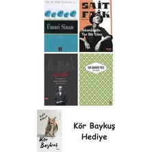 Alfa Yayınları Ümmi Sinan + Alemdağda Var Bir Yılan + Nat Tate + Yaslı Mızıka + Kör Baykuş