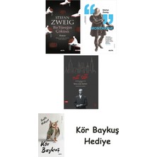 Alfa Yayınları Bir Yüreğin Çöküşü + Montaigne + Nat Tate + Kör Baykuş