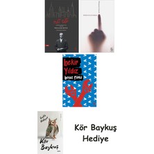 Alfa Yayınları Nat Tate + Olmayanım Içinizde + Beyaz Türkü + Kör Baykuş