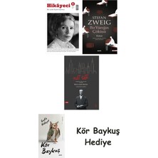 Alfa Yayınları Hikayeci - 5 + Bir Yüreğin Çöküşü + Nat Tate + Kör Baykuş