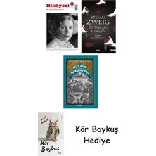 Alfa Yayınları Hikayeci - 5 + Bir Yüreğin Çöküşü + Zacharius Usta + Kör Baykuş