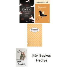 Alfa Yayınları Bir Yüreğin Çöküşü + Değirmen + Unuttum Dünya + Kör Baykuş