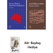 Alfa Yayınları Everest Açıkhava 39 - Dedemin Madalyası + Everest Açıkhava 35 - Seçme Şiirler + Kör Baykuş