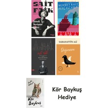 Alfa Yayınları Şimdi Sevişme Vakti + Genç Kız Kalbi + Nat Tate + Değirmen + Kör Baykuş