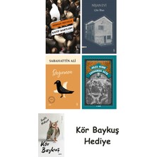 Alfa Yayınları Katip Bartleby + Nişan Evi + Değirmen + Zacharius Usta + Kör Baykuş