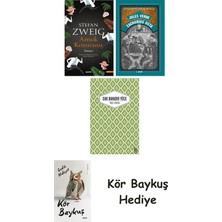 Alfa Yayınları Amok Koşucusu + Zacharius Usta + Yaslı Mızıka + Kör Baykuş