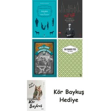 Alfa Yayınları Falaka ve Diğer Öyküler + Nat Tate + Zacharius Usta + Yaslı Mızıka + Kör Baykuş
