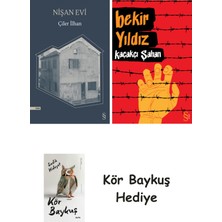 Alfa Yayınları Nişan Evi + Kaçakçı Şahan + Kör Baykuş