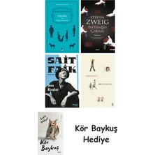 Alfa Yayınları Falaka ve Diğer Öyküler + Bir Yüreğin Çöküşü + Son Kuşlar + Görme Huyu + Kör Baykuş