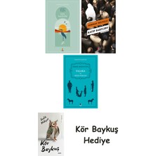 Alfa Yayınları Göl Saatleri + Katip Bartleby + Falaka ve Diğer Öyküler + Kör Baykuş