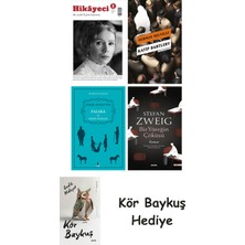 Alfa Yayınları Hikayeci - 5 + Katip Bartleby + Falaka ve Diğer Öyküler + Bir Yüreğin Çöküşü + Kör Baykuş