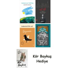 Alfa Yayınları Gecenin Gecesi + Nat Tate + Değirmen + Zacharius Usta + Kör Baykuş