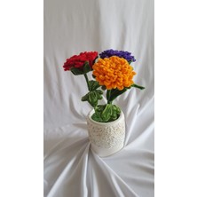 Badem Hediyecilik Kasımpatı Saksı Çiçeği