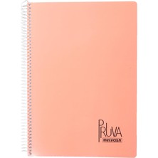 Mena Rise Pruva A4 Pet Spiralli Karton Kapaklı Defter 144 Yaprak - - Turuncu