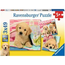 Mena Rise 3X49 Parça Puzzle Puppies Renkli 3+