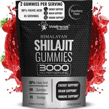 Wellness Pure Himalayan Shilajit Gummies 90 Gummy