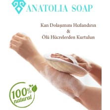 Mena Rise Anatolia Soap 1978 Yüz Vücud Kabak Lifi Doğal Lifler Peeling Temizleyici Arındırıcı. 1 Adet.