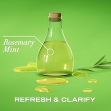 Mena Rise Ogx Rosemary Mint Arındırıcı 385 ml Sülfatsız Şampuan