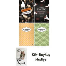 Alfa Yayınları Katip Bartleby + Bir Yüreğin Çöküşü + Unuttum Dünya + Yaslı Mızıka + Kör Baykuş