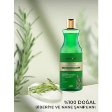 Mena Rise Dermokil Yüzde Yüz Doğal Saç Güçlendirici Biberiye Şampuan 400 ml