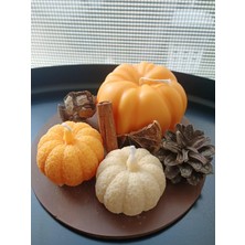 Mena Rise Tasarım 3'lü Iki Farklı Boy Balkabağı Seti, Kuru Aksesuarlar ve Sunum Tabağıyla Birlikte