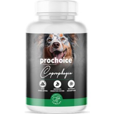 Mtxdpn Prochoice 60 Tablet x 12 Adet Köpekler Için Dışkı Yeme Önleyici Vitamin