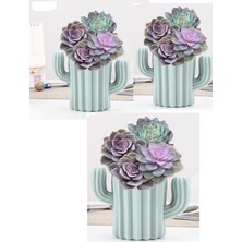 Mena Rise 3 Lü Kaktüs Figürlü Masaüstü Mini Sukulent Saksı - Kalemlik Plastik