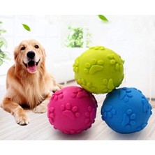 Mena Rise 2 Li Set  Pati Desenli Köpek Isırma Topu Boy At Getir Top