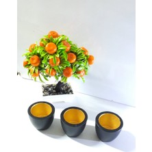 Mena Rise 3 Lü Sukulent Saksı - Siyah Gold Kaktüs Saksı Beton Çiçek Saksısı