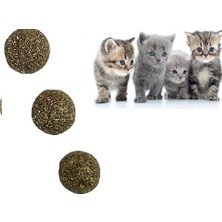 Mena Rise Kedi Nanesi Topu 3 Adet 2.5 cm Nepeta Cataria