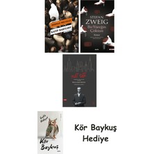 Alfa Yayınları Katip Bartleby + Bir Yüreğin Çöküşü + Nat Tate + Kör Baykuş