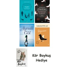 Alfa Yayınları Falaka ve Diğer Öyküler + Bir Yüreğin Çöküşü + Aynalı Göl + Değirmen + Kör Baykuş