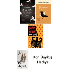 Alfa Yayınları Bir Yüreğin Çöküşü + Değirmen + Alman Ekmeği + Kör Baykuş