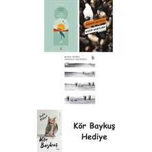 Alfa Yayınları Göl Saatleri + Katip Bartleby + Zamanın Işaretleri + Kör Baykuş