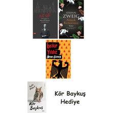 Alfa Yayınları Nat Tate + Amok Koşucusu + Alman Ekmeği + Kör Baykuş