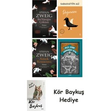 Alfa Yayınları Bir Yüreğin Çöküşü + Değirmen + Amok Koşucusu + Zacharius Usta + Kör Baykuş