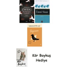 Alfa Yayınları Bir Yüreğin Çöküşü + Ümmi Sinan + Değirmen + Kör Baykuş