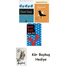 Alfa Yayınları Ümmi Sinan + Değirmen + Beyaz Türkü + Kör Baykuş