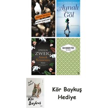 Alfa Yayınları Katip Bartleby + Aynalı Göl + Amok Koşucusu + Yaslı Mızıka + Kör Baykuş
